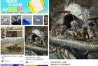 画世界v291会员版绘画工具与社区二合一全新体验