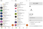 Appteka国内网直连谷歌商店免登录版下载