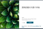 微软Bing Wallpaper壁纸v2021中文多语版全新升级