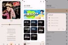 大师兄音乐201海量音乐多种音源无损下载全新体验